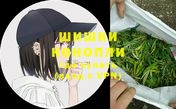 Альфа ПВП Аркадак
