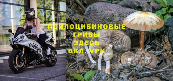 Альфа ПВП Аркадак