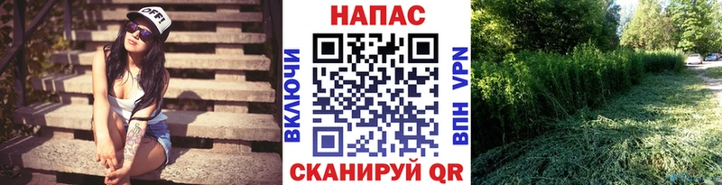 Марихуана White Widow  Лодейное Поле 